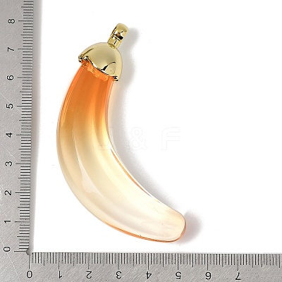 Transparent Acrylic Big Pendants OACR-A040-12-1