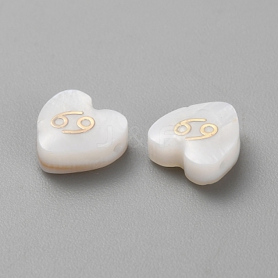 5Pcs Natural White Shell Beads LS-BSHE-TAC0004-02F-1