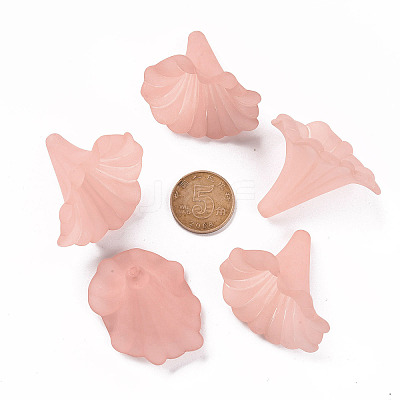 Transparent Acrylic Beads BSF796-C11-1