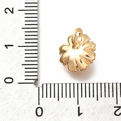 Brass Charms KK-M318-27G-1
