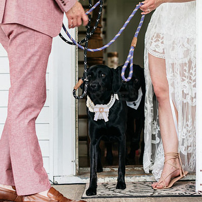 Velvet Rhinestones Detachable Pet Wedding Couple Ring Bearer Box RDIS-WH0019-08B-1