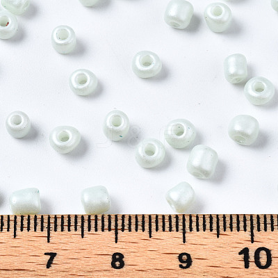 6/0 Glass Seed Beads SEED-S058-A-F408-1