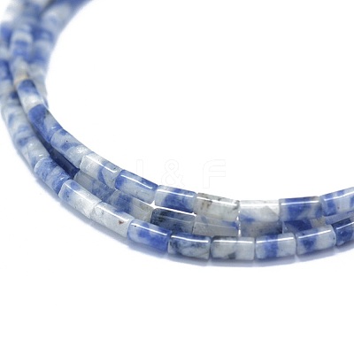 Natural Blue Spot Jasper Beads Strands G-F631-B11-1