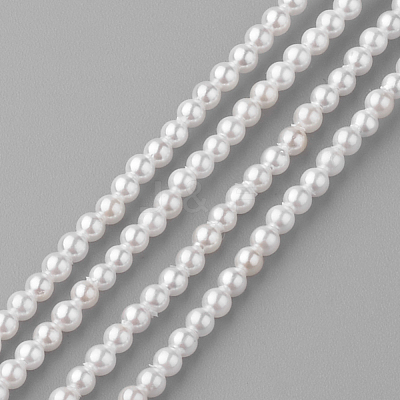 Shell Pearl Beads Strands PEAR-R064-94-1