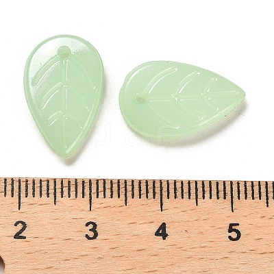 Translucent Acrylic Pendants OACR-Z016-10A-1