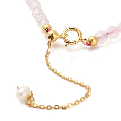 Natural Rose Quartz and Natural Lepidolite and Natural Agate Bead Bracelets BJEW-E098-13G-1