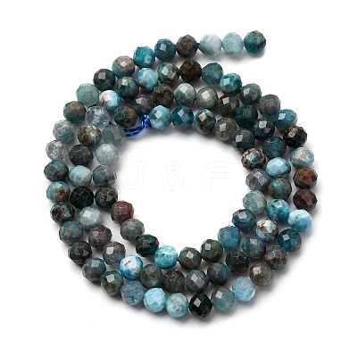 Natural Apatite Beads Strands LS-G-A276-C08-4mm-01-1