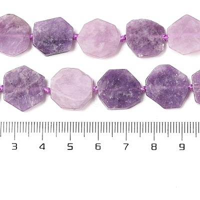 Natural Lepidolite Beads Strands G-L095-A01-01B-1