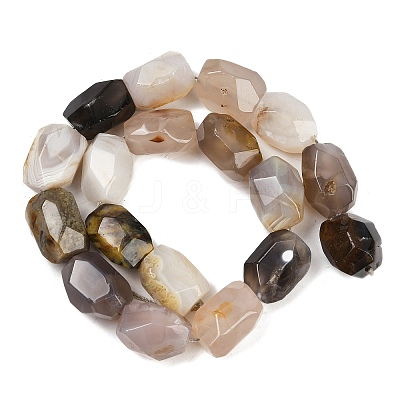 Natural Botswana Agate Beads Strands G-F796-C03-01-1