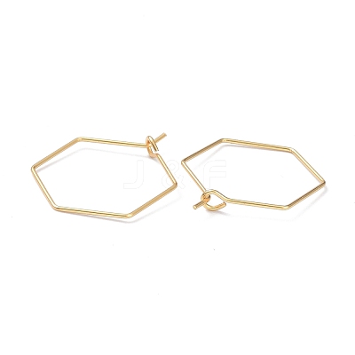 316 Stainless Steel Hoop Earring Findings STAS-K216-03A-G-1