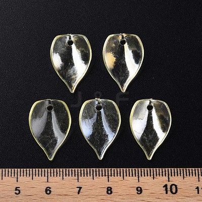 Transparent Acrylic Beads MACR-S373-103-C-1