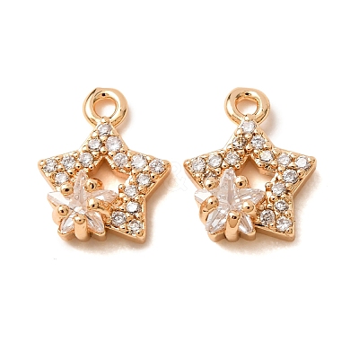 Brass Micro Pave Clear Cubic Zirconia Charms CU-CBAEC99-23G-1