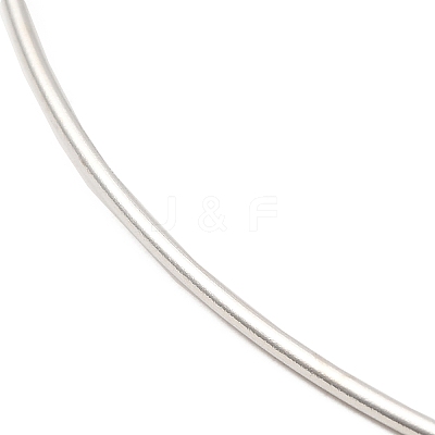 Non-Tarnish 304 Stainless Steel Necklaces STAS-D084-32P-1