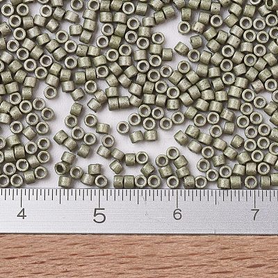 MIYUKI Delica Beads SEED-JP0008-DB1851F-1