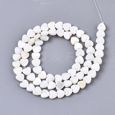 Natural Freshwater Shell Beads Strands X-SHEL-N026-67-1