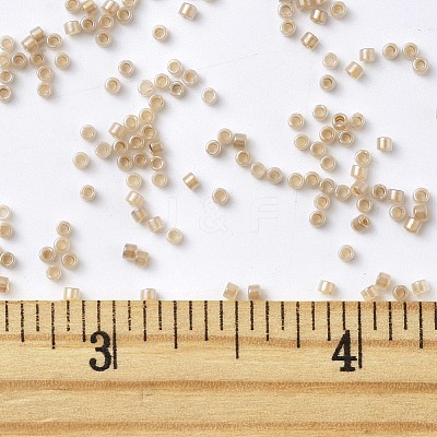 MIYUKI Delica Beads SEED-MY11-DB1731-1