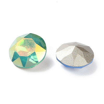 K9 GLass Rhinestone Cabochons EGLA-F161-08-1