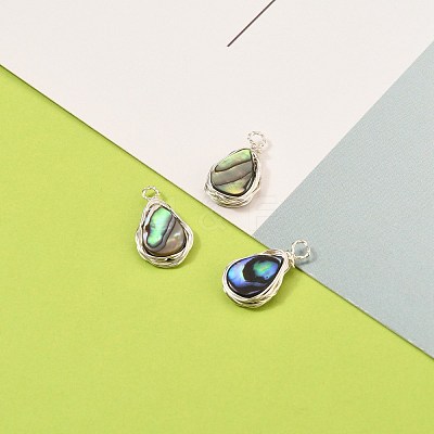 Natural Abalone Shell/Paua Shell Pendants PALLOY-JF00477-02-1