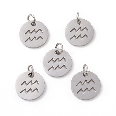 Non-Tarnish 304 Stainless Steel Charms STAS-Q201-T445-11S-1
