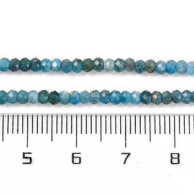 Natural Apatite Beads Strands G-F770-D09-02B-1