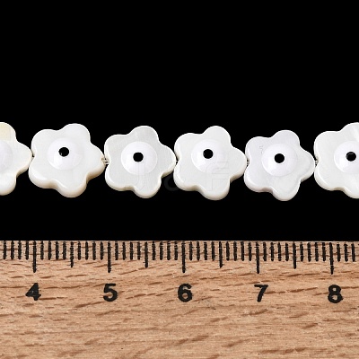 Natural Freshwater Shell Beads Strands SHEL-A006-03E-1