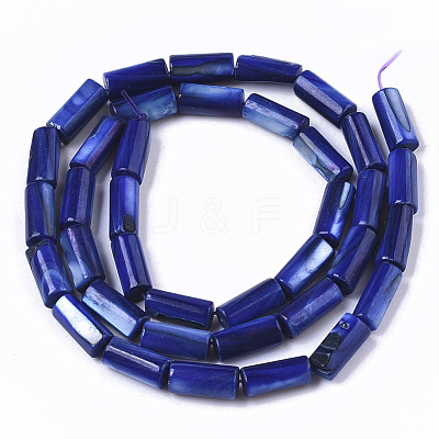 Natural Freshwater Shell Beads X-SHEL-R047-01B-1
