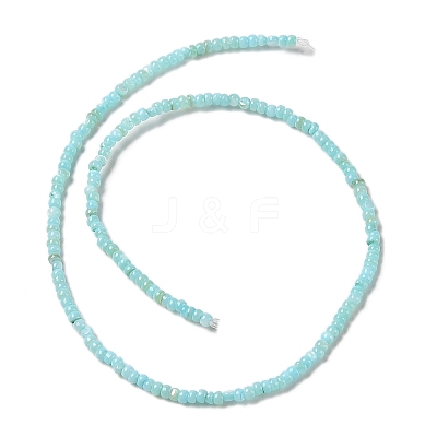 Natural Freshwater Shell Beads Strands SHEL-P017-01B-03-1