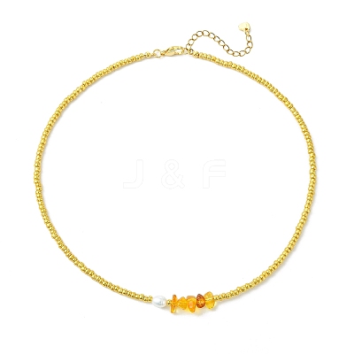 Women's Natural Amber Necklaces NJEW-JN06110-1