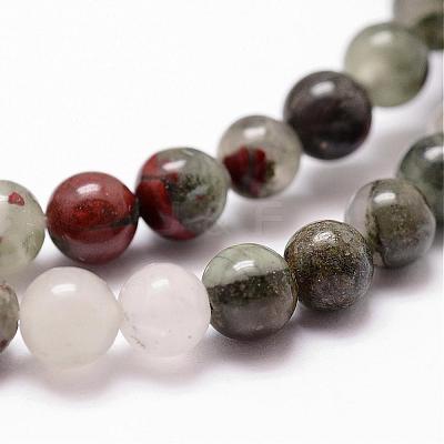 Natural African Bloodstone Beads Strands G-D840-66-10mm-1