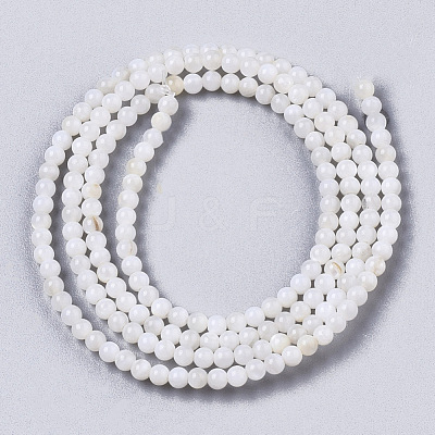 Natural Freshwater Shell Beads Strands X-BSHE-T009-01F-1