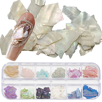 1 Set 12 Colors Shell Slices MRMJ-SP0001-05B-1