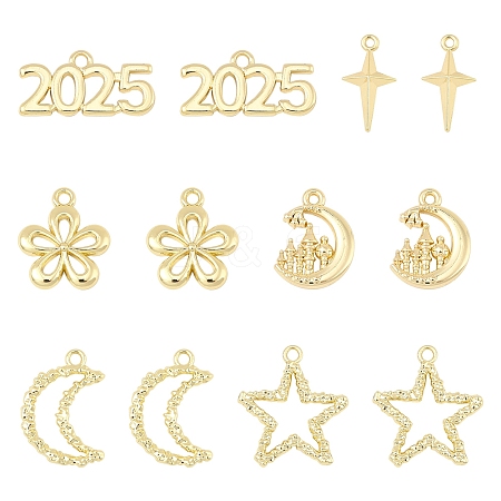 12Pcs 6 Styles Alloy Pendants FIND-FS0003-38G-1