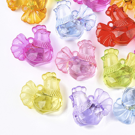 Transparent Acrylic Pendants TACR-S133-114-1