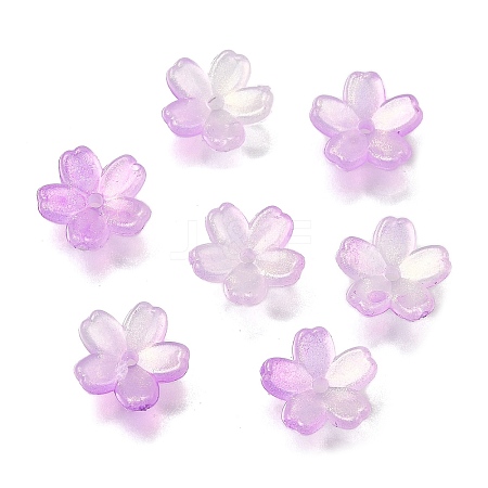 Acrylic Bead Caps OACR-I024-01H-1