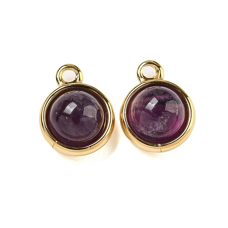 Natural Amethyst Half Round Charms STAS-L080-009G-04-1