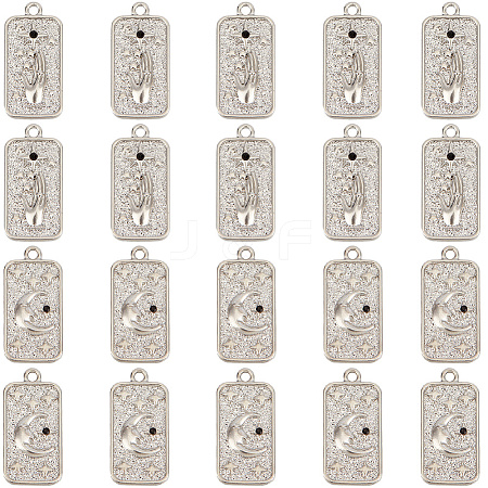 20Pcs 2 Styles Alloy Rhinestone Pendants FIND-SC0013-90-1