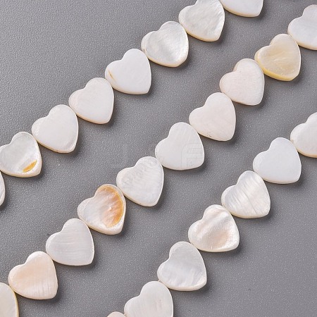 Natural Freshwater Shell Beads Strands X-SHEL-R144-25-1