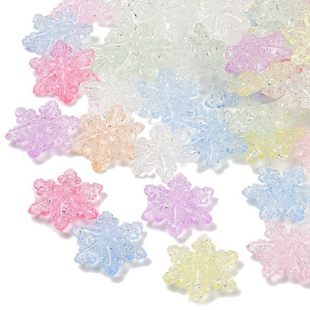 Transparent Crackle Acrylic Beads OACR-B031-05-1