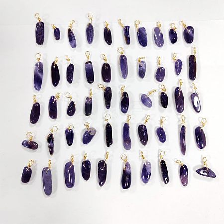 SUPERFINDINGS 50Pcs Natural Amethyst Pendants FIND-FH0005-16-1