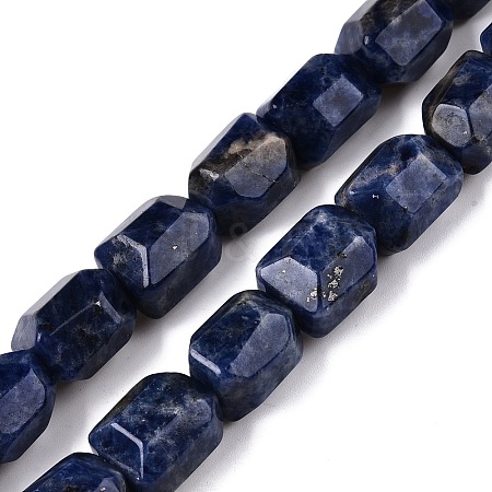 Natural Sodalite Beads Strands G-N342-145-1