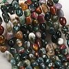 Natural Indian Agate Beads Strands G-K395-B12-02-1