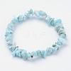 Natural Larimar Beaded Stretch Bracelets X-BJEW-JB02680-01-1