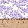 Glass Frosted Seed Beads SEED-K009-05B-04-4