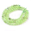 Natural Prehnite Beads Strands G-I250-01B-2