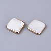 Edge Golden Plated Natural Freshwater Shell Beads X-SHEL-S276-47-2