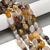 Natural Botswana Agate Beads Strands G-P497-01E-18-2