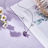 925 Sterling Silver Zircon Pendant Necklace 12 Constellation Pendant Necklace Jewelry Anniversary Birthday Gifts for Women Men JN1088H-4