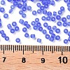 (Repacking Service Available) Glass Seed Beads SEED-C017-2mm-M6-3