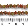 Natural Unakite Beads Strands G-G085-B53-02-5