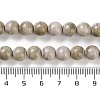 Natural Rainbow Alashan Agate Beads Strands G-NH0022-A09-02-5